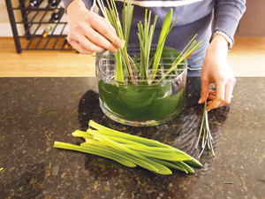 Cắm hoa xen quả đơn giản, đẹp mắt - 9