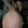 Tin tức - Củ khoai lang có hình thù lạ