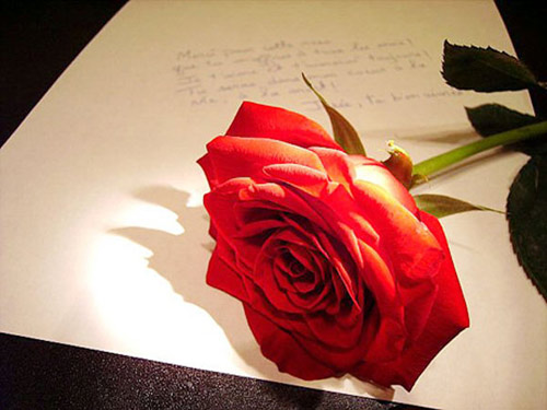 Lá thư em viết riêng cho anh - 1