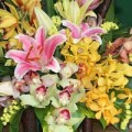 Mua sắm - Giá cả - Người Hà Nội tiết giảm tiền mua hoa 20/11