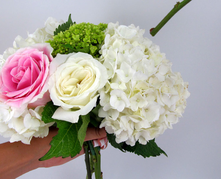 Khi sử dụng các loại hoa có kích thước bông lớn như cẩm tú cầu kết hợp với các loại hoa nhỏ như hoa hồng, cắm xem kẽ là một kỹ thuật rất hiệu quả để tạo dáng cho bó hoa.

Các bạn nên cài những bông hoa hồng vào giữa và xung quanh hoa cẩm tú cầu từ trên xuống dưới.
