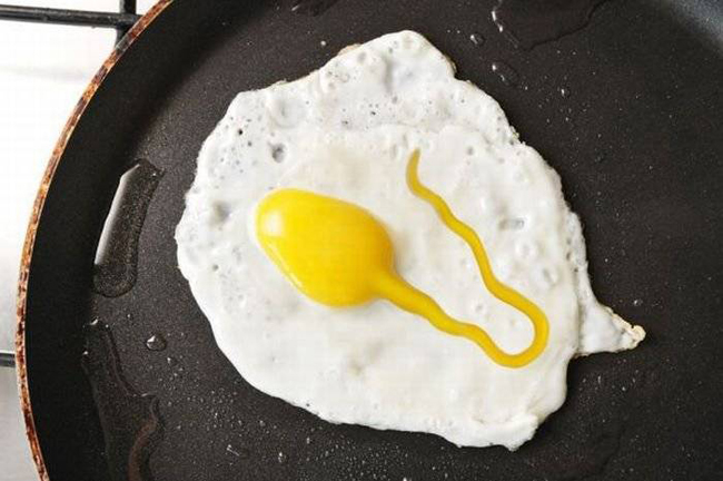 Trứng và tinh trùng được mô tả bằng lòng đỏ và lòng trắng một quả trứng gà.
