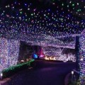 Tin tức - Úc: Đón Noel bằng 500.000 bóng đèn nháy