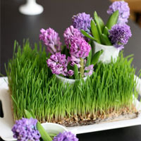 Cắm hoa hồng nhung quot;vẫy gọiquot; Noel - 10