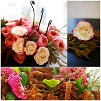 Cắm hoa hồng nhung quot;vẫy gọiquot; Noel - 14