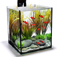 Eva giữ nhà sạch với bột baking soda - 8