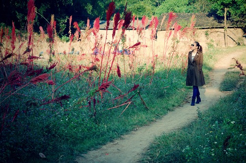 Mỹ Tâm cô đơn giữa núi rừng Bắc Bộ - 12