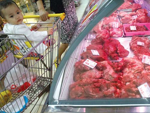 Doanh nghiệp không mua được bò Úc - 1