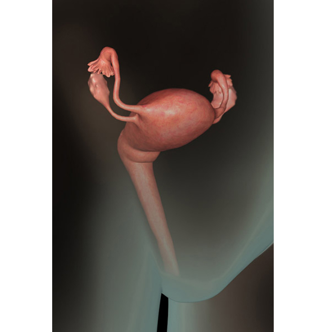 Tuần 1

Mặc dù lúc này mẹ chưa hề có thai nhưng sở dĩ được gọi là thai nhi 1 tuần tuổi bởi tuổi thai được tính từ ngày đầu tiên của kỳ kinh nguyệt cuối cùng. Thời điểm này, mẹ đang trong những ngày 'đèn đỏ'.

BÀI LIÊN QUAN:

Hình ảnh tuyệt đẹp về trứng và tinh trùng

Đừng vô tình 'giết chết' tinh trùng!

“Soi tận mắt' quá trình thụ thai

Cận cảnh một ca đẻ mổ ở BV Việt Pháp

Có nên bóc mỡ bụng khi đẻ mổ?

Vào phòng sinh xem một ca đẻ mổ

'Quá tiếc' nếu không đẻ thường

Quá đẹp thước ảnh sinh con dưới nước
