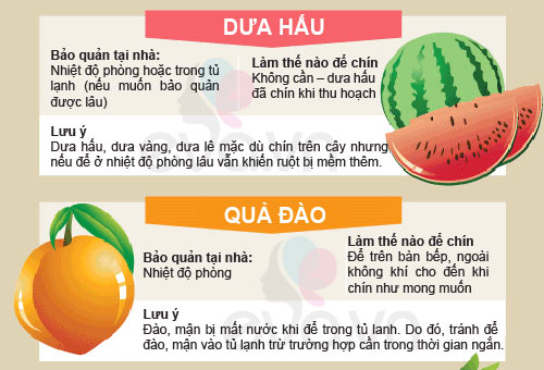 Cho con ăn hoa quả: sai là “công cốc” - 3