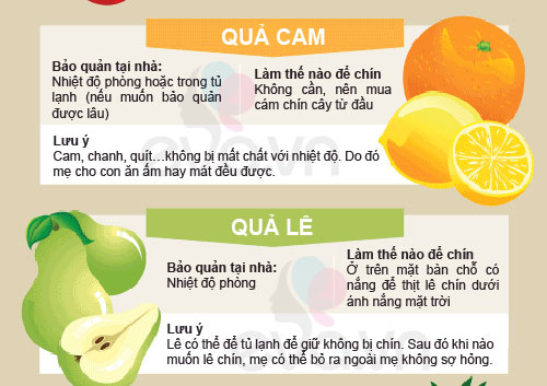 Cho con ăn hoa quả: sai là “công cốc” - 5