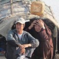 Tin tức - BS ném xác: Tìm thi thể ở bãi rác Văn Điển