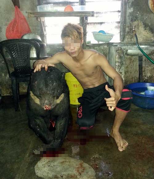 Khoe ảnh giết gấu trên Facebook: Sẽ xử lý nghiêm - 1