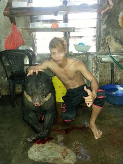 Thanh niên khoe ảnh giết gấu có thể bị tù cao nhất 7 năm - 1