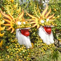 Cây không khí: Điều hòa xanh cho nhà đẹp - 15