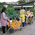 Làm mẹ - Mẫu giáo Nhật khiến tôi "phát thèm"