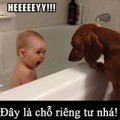 Làm mẹ - Ảnh chế của bé, mẹ xem cấm cười!