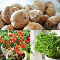 Top rau sạch gây #039;sốt#039; chị em năm 2013 - 7