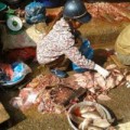 Mua sắm - Giá cả - Thịt, cá sơ chế trên cống nước thải, nước rửa cực bẩn