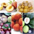Làm đẹp - Những loại trái cây càng ăn càng nổi mụn