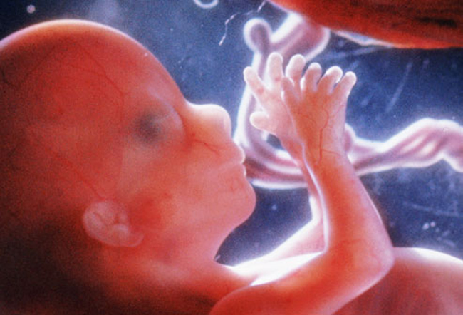 Thai nhi 16 tuần

Lúc này bào thai đã dài đến gần 12cm và nặng khoảng 80g. Phía trên cùng của tử cung nằm cách bụng của bạn khoảng gần 10cm. Em bé đã có thể chớp mắt và tim, mạch máu được hoàn thiện. Các ngón tay và ngón chân cũng đã có dấu vân.

BÀI LIÊN QUAN:

10 dấu hiệu báo mẹ sắp rụng trứng

Cực lãng mạn tinh trùng 'tỏ tình' trứng

Đừng vô tình 'giết chết' tinh trùng!

8 thời điểm “cấm” thụ thai

Chiêu thử thai chính xác 100%

Sai lầm ‘chết người’ khi mang thai

10 dấu hiệu cực nguy hiểm 3 tháng đầu

