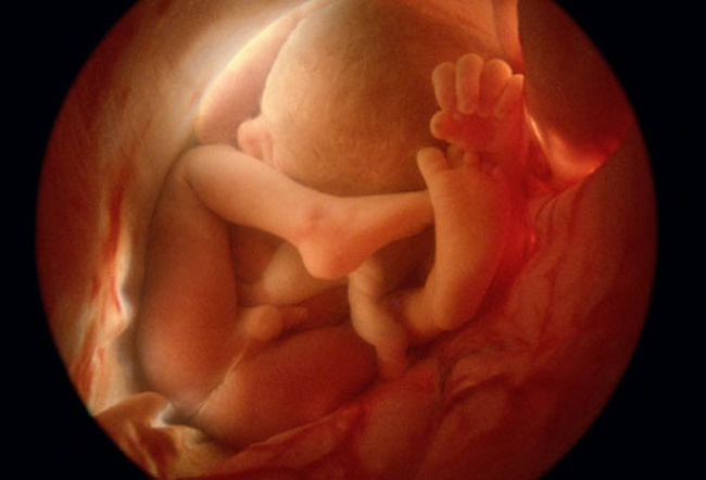 Thai nhi 36 tuần

Các bé giai đoạn này khác nhau về kích thước, phụ thuộc vào nhiều yếu tố như giới tính, số bé đang ở trong bụng mẹ, và phụ thuộc vào cả cơ thể của người mẹ nữa. Do đó, tỷ lệ tăng trưởng tổng thể của bé cũng quan trọng không kém gì kích thước thực tế bé phát triển. Trung bình, bé sẽ nặng khoảng 2,4kg và cao 38cm. Bộ não phát triển rất nhanh chóng, gần như là phát triển đầy đủ.

BÀI LIÊN QUAN:

10 dấu hiệu báo mẹ sắp rụng trứng

Cực lãng mạn tinh trùng 'tỏ tình' trứng

Đừng vô tình 'giết chết' tinh trùng!

8 thời điểm “cấm” thụ thai

Chiêu thử thai chính xác 100%

Sai lầm ‘chết người’ khi mang thai

10 dấu hiệu cực nguy hiểm 3 tháng đầu
