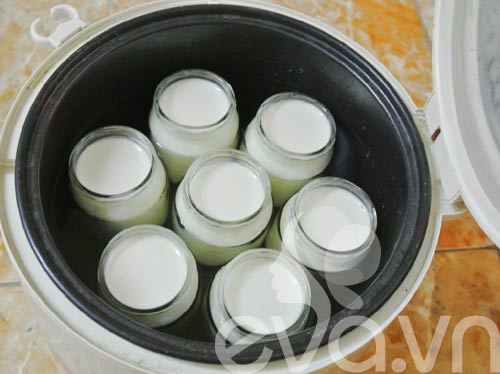 Công thức sữa chua từ men probiotic cho bé - 4