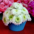 Nhà đẹp - Lạ mắt kiểu cắm hoa hình bánh cupcake