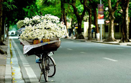 Chị em rộn ràng bày cúc xinh đón thu về - 1