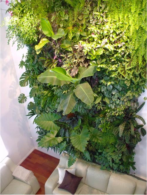 Vườn treo tường mát mắt cho nhà chật - 4