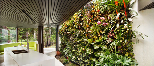 Vườn treo tường mát mắt cho nhà chật - 5