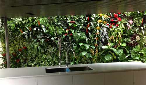 Vườn treo tường mát mắt cho nhà chật - 6