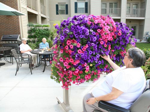 Vườn treo tường mát mắt cho nhà chật - 10