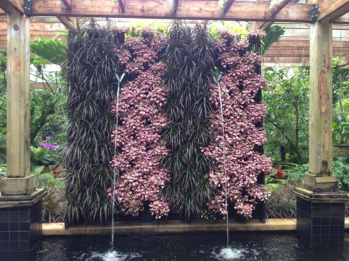 Vườn treo tường mát mắt cho nhà chật - 11