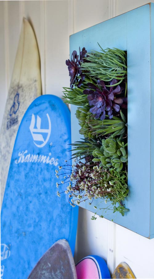 Vườn treo tường mát mắt cho nhà chật - 15