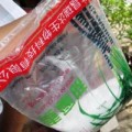Tin tức - Phát hiện phụ gia gây ung thư tại cơ sở chà bông bẩn