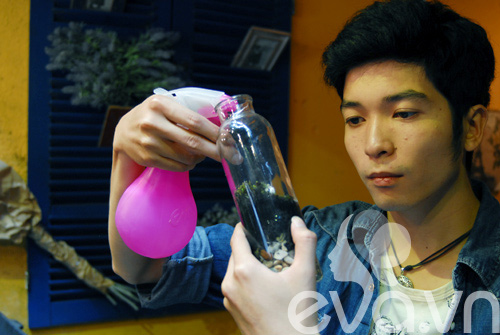 Terrarium: Học cách tự trồng cây trong bình kính - 11