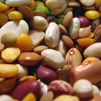 Những lợi ích sức khỏe bất ngờ của các loại đậu đỗ