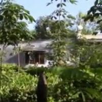 Hành trình phá án: Giết 2 mẹ con, tạo hiện trường giả