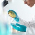 Tin tức - Chế tạo thành công dương vật trong phòng thí nghiệm
