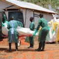 Tin tức - Châu Âu trước nguy cơ bị Ebola tấn công