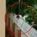 Tin tức - TQ: Trèo rào KTX gặp bạn trai, nữ sinh bị điện giật chết