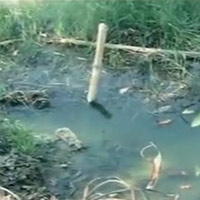 Hành trình phá án: Xác chết trong hồ xử lý nước thải