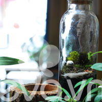 Infographic: Trang trí phòng cho tâm trạng vợ hưng phấn - 7