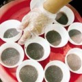 Tin tức - Kiết lị, giun sán, thương hàn đến từ... mắm tôm có dòi