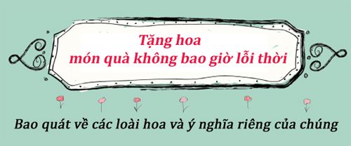 Infographic: Biểu tượng và ý nghĩa các loại hoa - 1