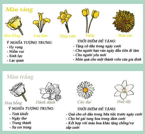 Infographic: Biểu tượng và ý nghĩa các loại hoa - 3