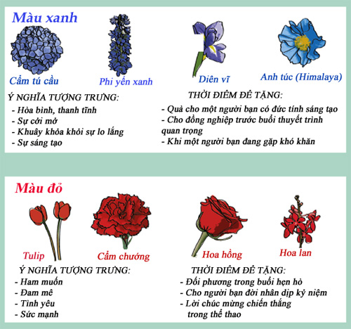 Infographic: Biểu tượng và ý nghĩa các loại hoa - 4