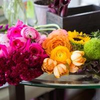 Infographic: Biểu tượng và ý nghĩa các loại hoa - 5