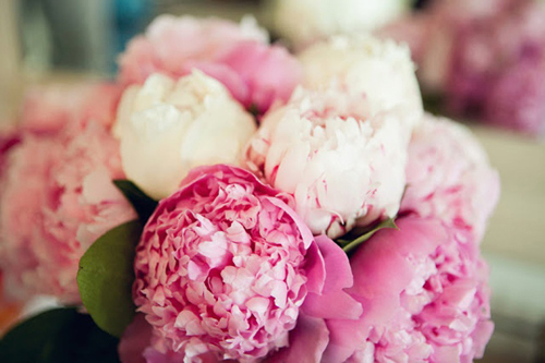 Tặng hoa vợ vui, tiền rơi vào túi - 1